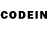 Псилоцибиновые грибы GOLDEN TEACHER Den Senchin