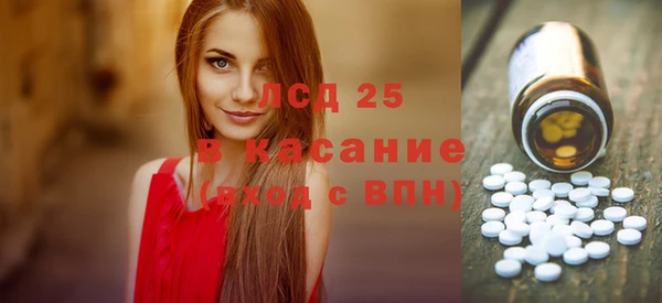 ГАЛЛЮЦИНОГЕННЫЕ ГРИБЫ Карталы